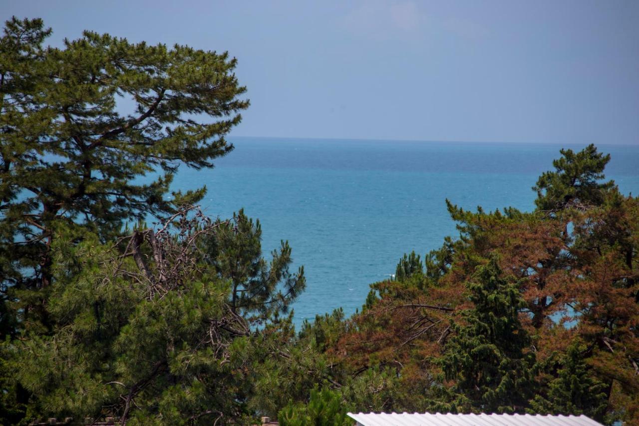 Chveni Ezo Boutique Hotel Kobuleti Extérieur photo